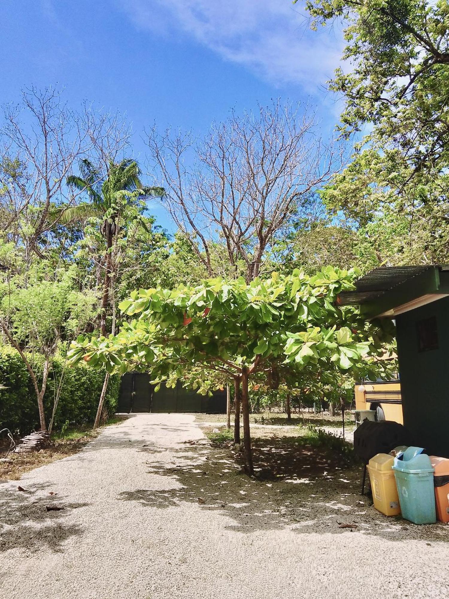 Apartamento Nanku Nimbu Casa-Bus Equipada Cerca De Playas Sámara Exterior foto